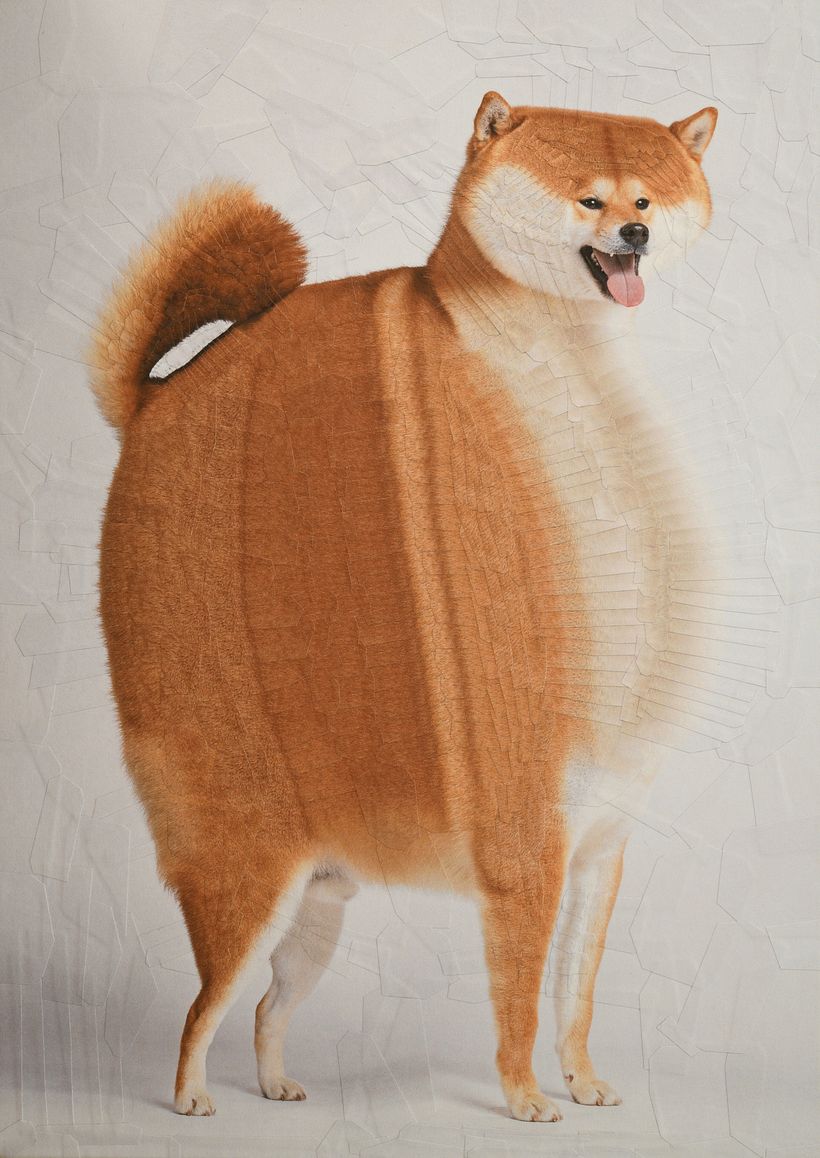 Ercole II, 8,2 x 11,6 pollici