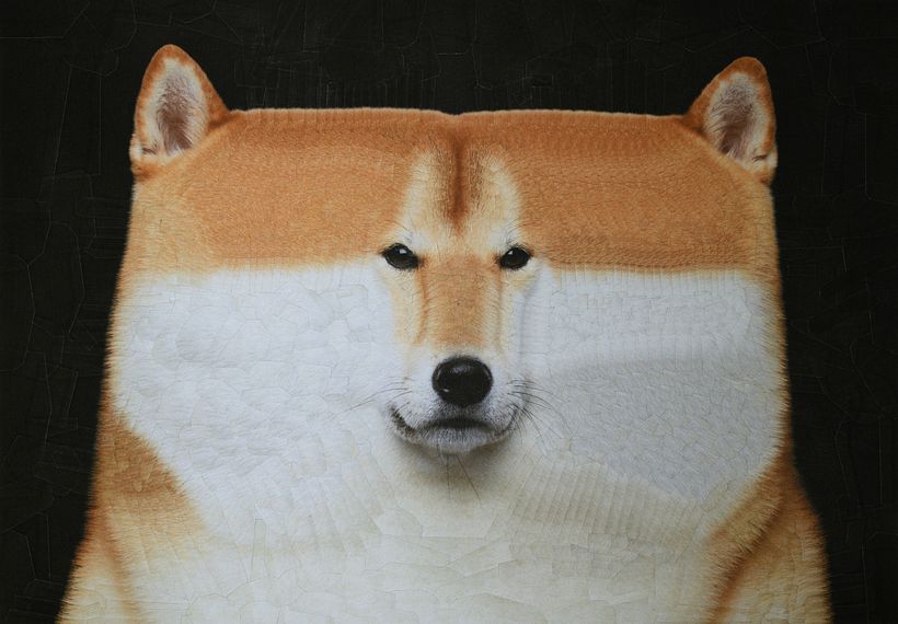 Randy 2, 11,6 x 8,2 pollici