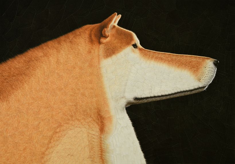 Randy, 11,6 x 8,2 pollici