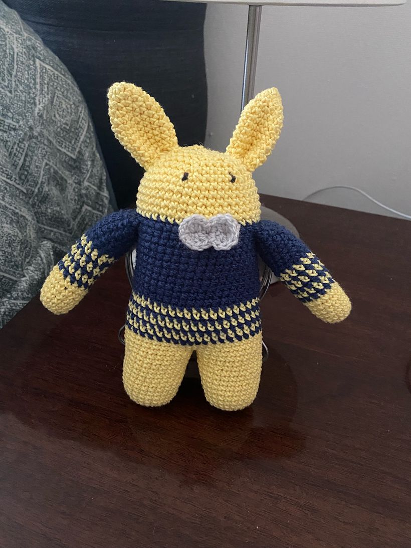 Mi proyecto del curso: Amigurumi: creación de personajes con ganchillo 2