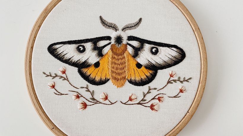 Mariposa Maravilhosa 3