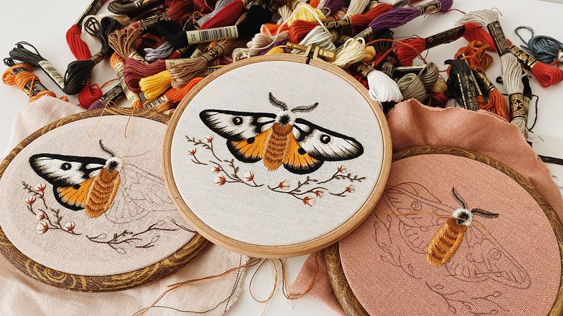 Mariposa Maravilhosa 2