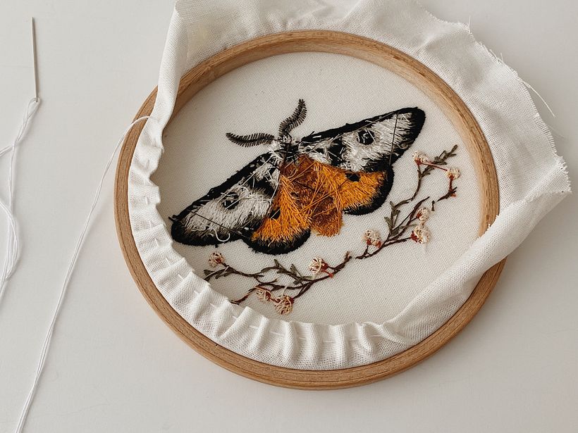 Mariposa Maravilhosa 4