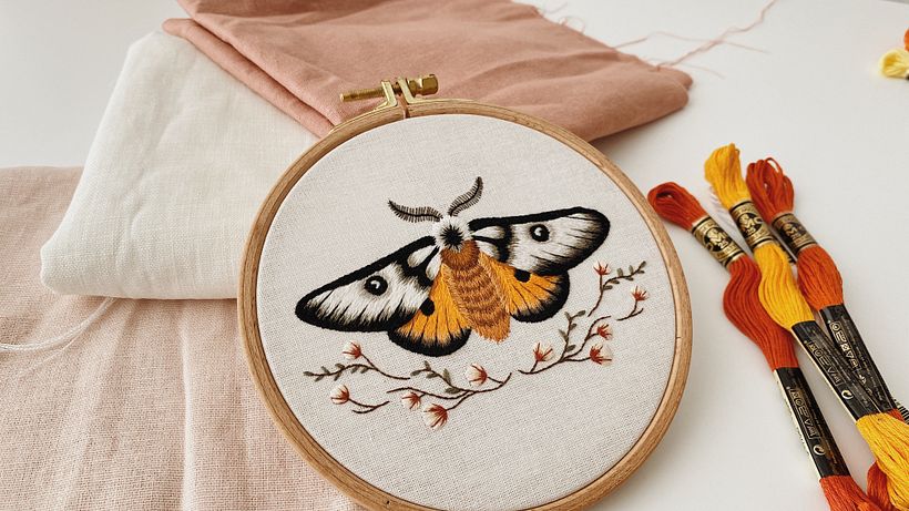 Mariposa Maravilhosa 5