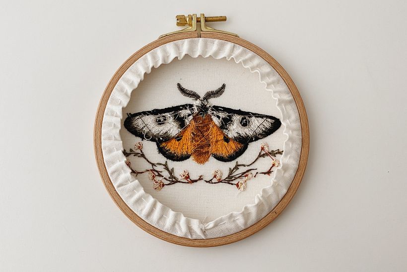 Mariposa Maravilhosa 6