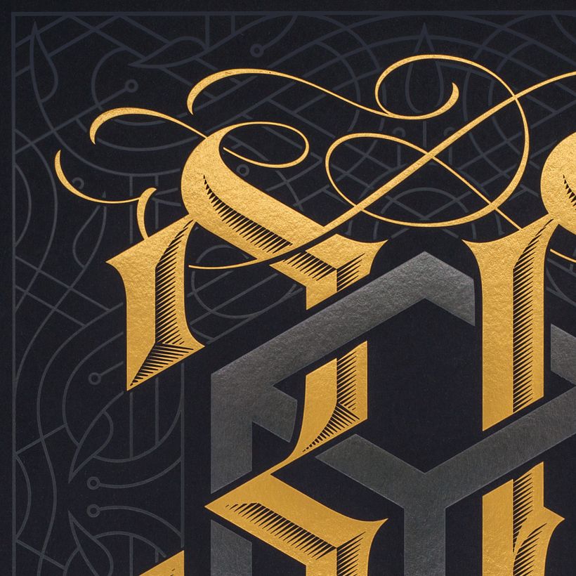 Elmwood Book Cover 2