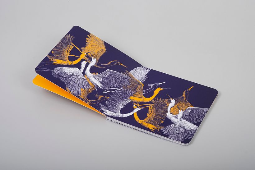 Colección Duotono - Diseño