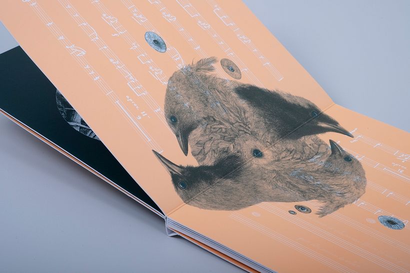 Colección Duotono - Diseño