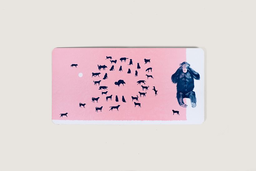 Colección Duotono - Diseño