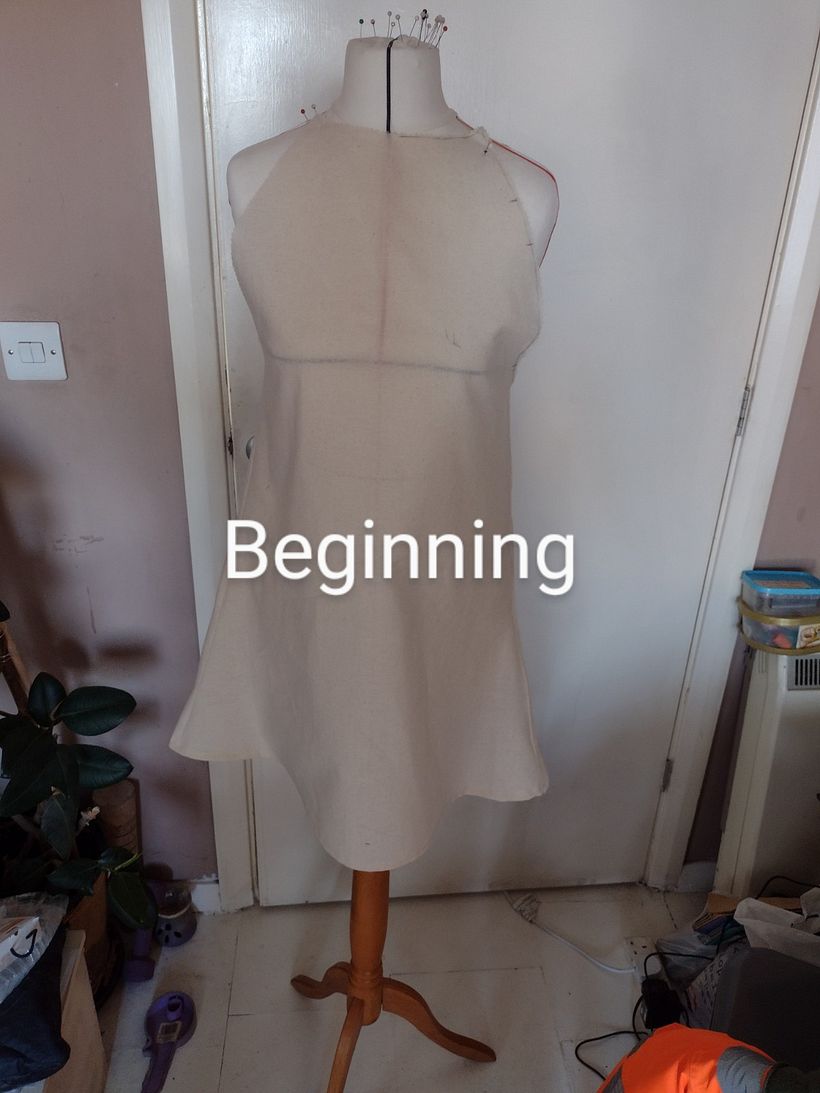 original raglan moulage in calico/i started with the mini dress first