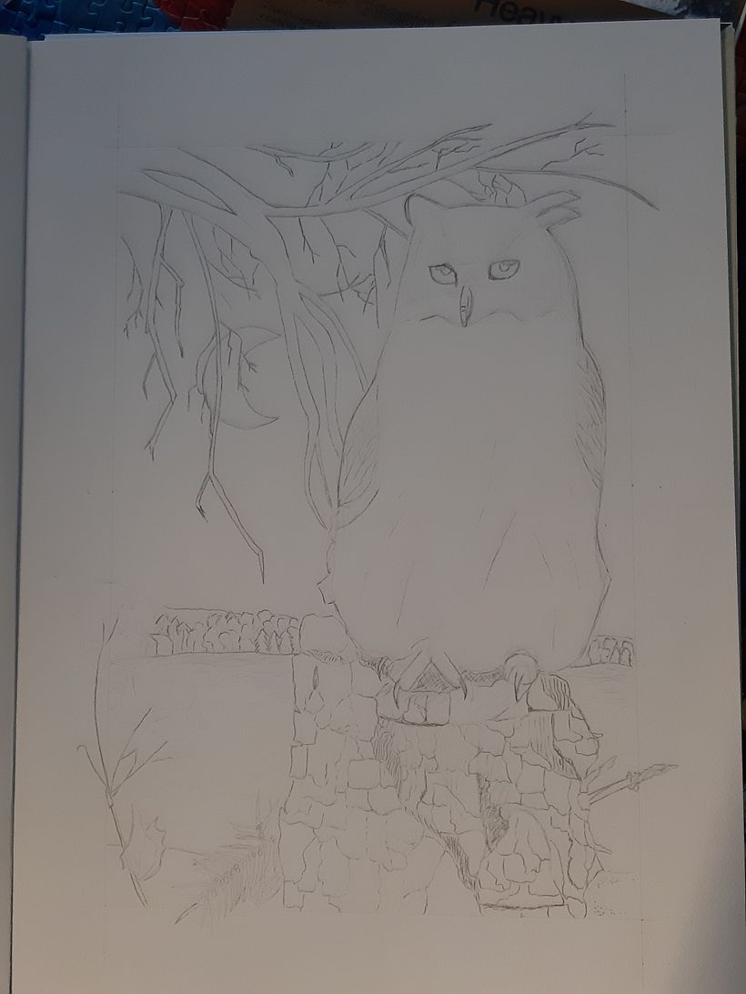 My project for course: Dip Pen and Ink Illustration: Capturing The Natural World 1