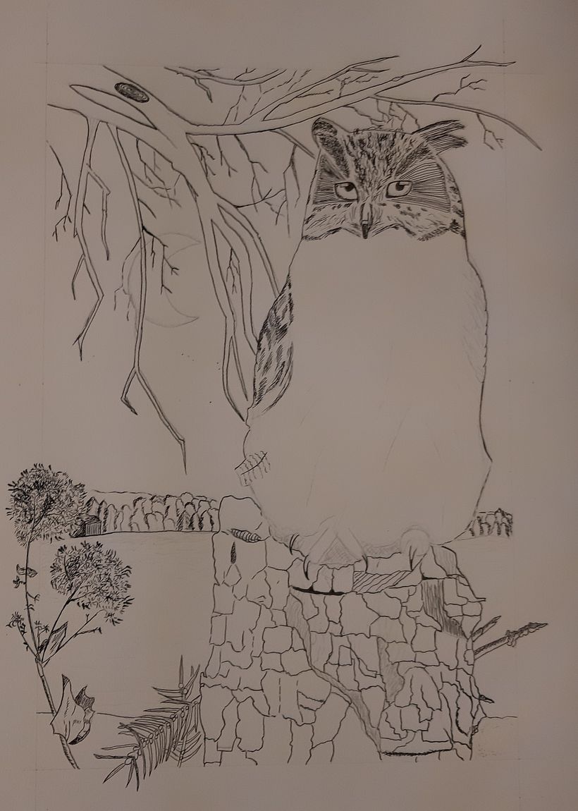 My project for course: Dip Pen and Ink Illustration: Capturing The Natural World 2