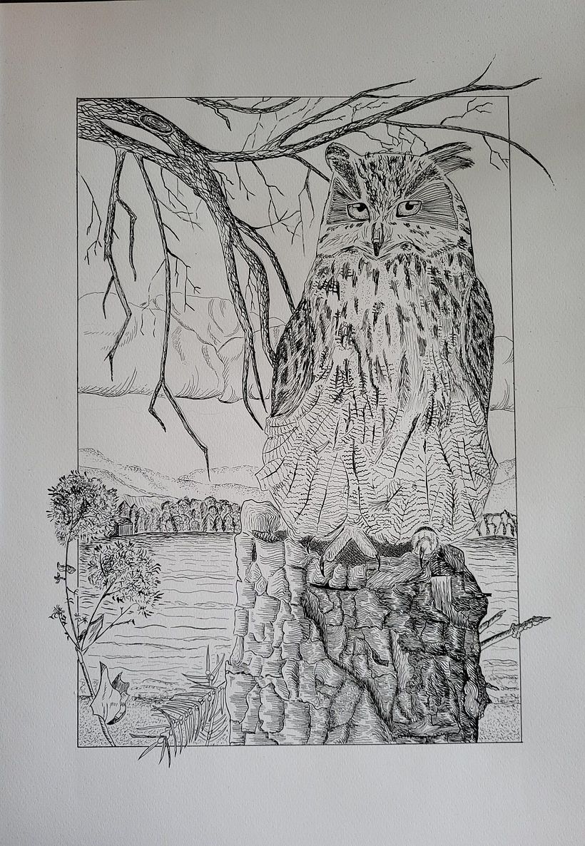 My project for course: Dip Pen and Ink Illustration: Capturing The Natural World 4