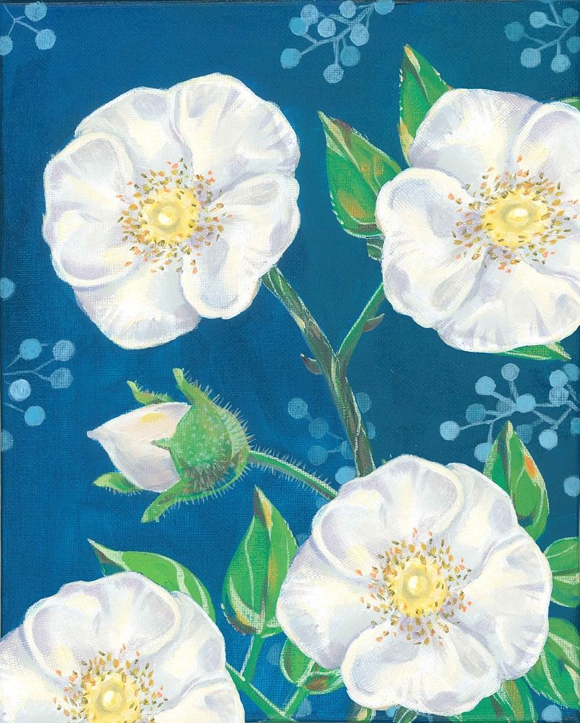 White Roses