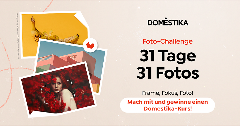 Foto-Challenge 2025: 31 Tage, 31 Fotos