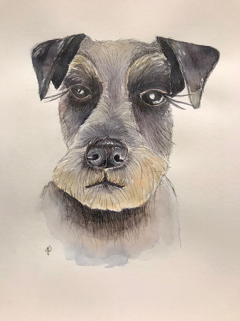 Final project painting of my dog Buffy. I have lots to still improve but am getting there. 