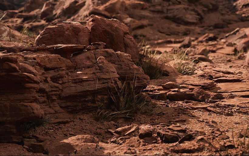 Film-quality environments created using Unreal's virtual geometry system, Nanite.
