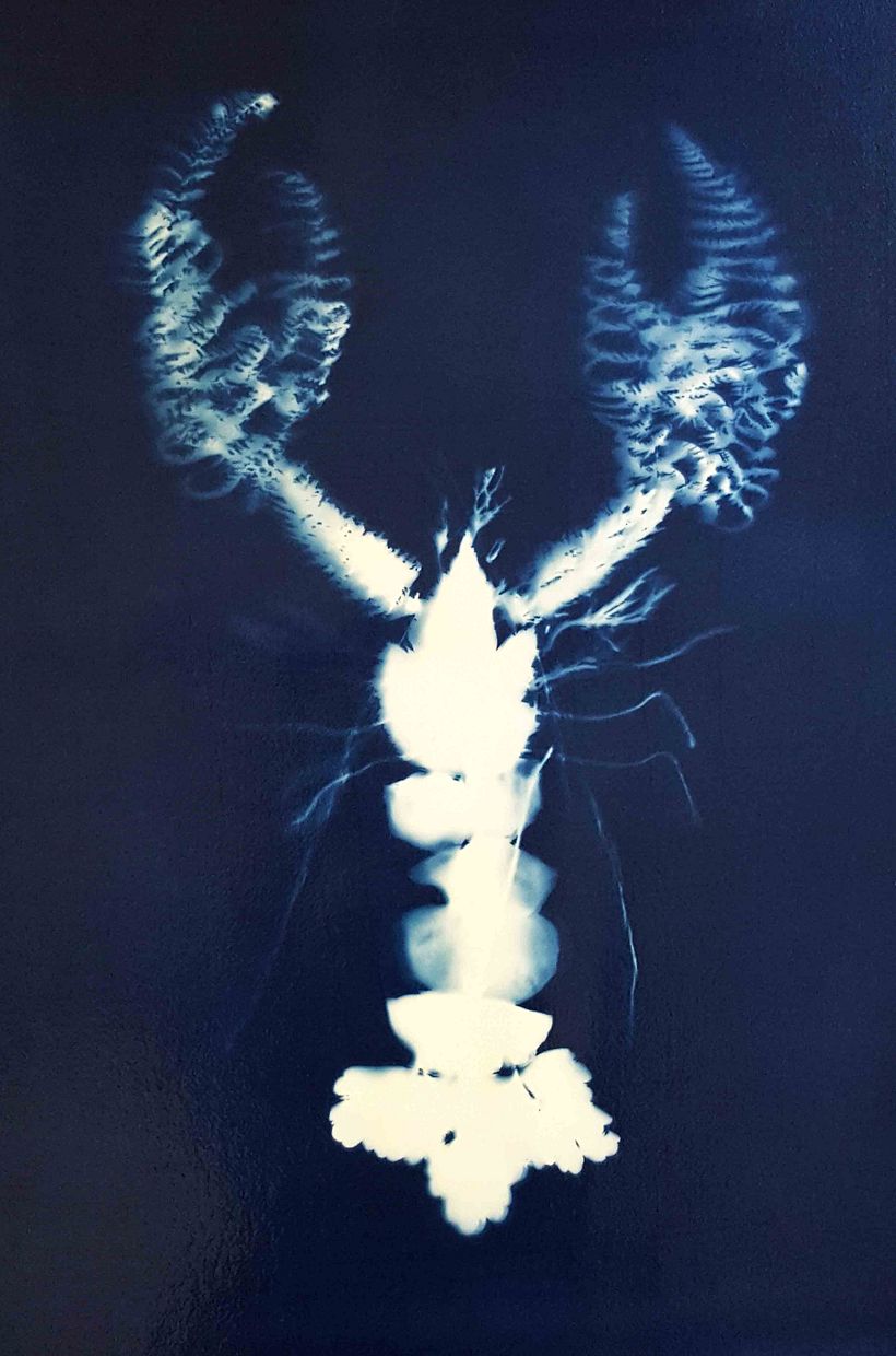 Homard végétal 1