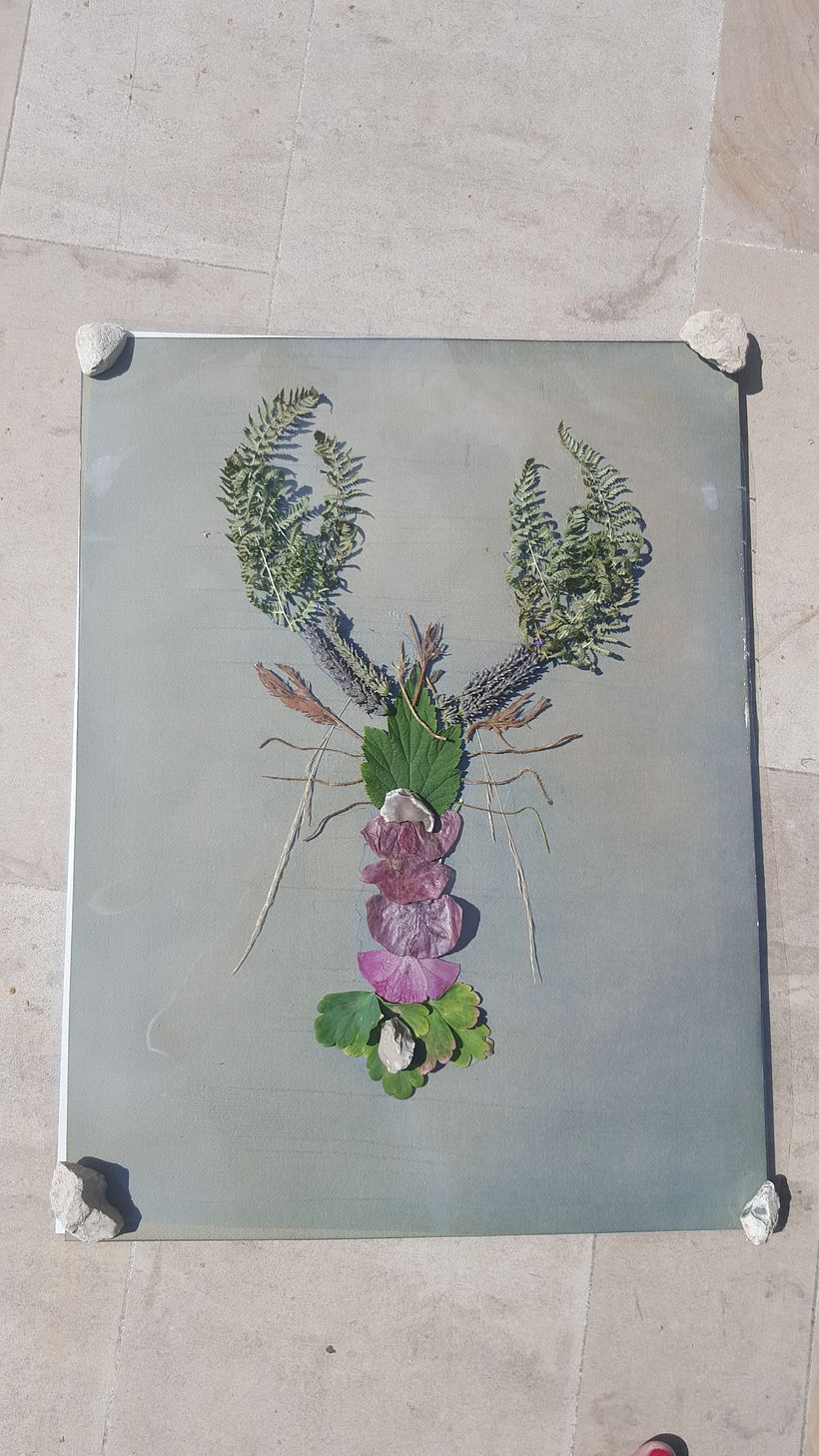 Homard végétal 2