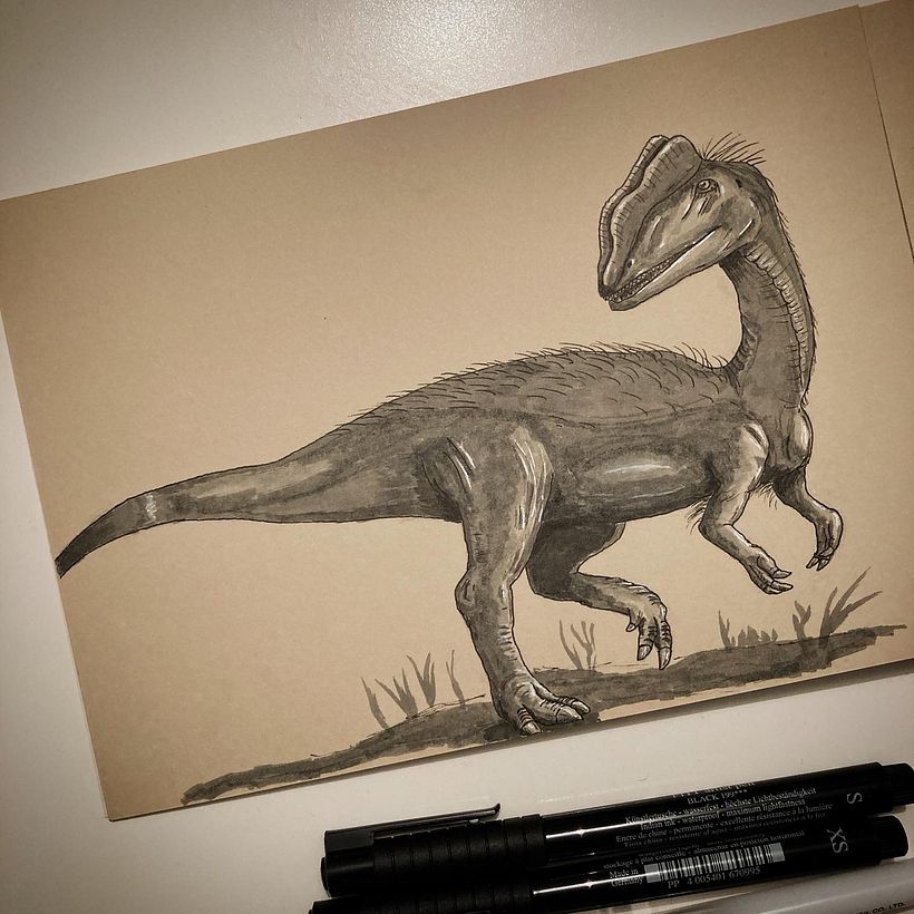 Dinosaurs in ink 5