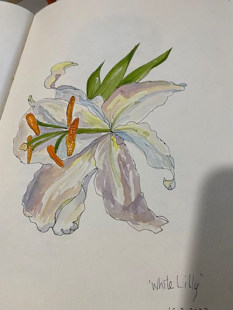White Lilly