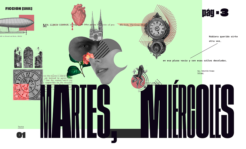 My project for course: Digital Collage for Editorials 3