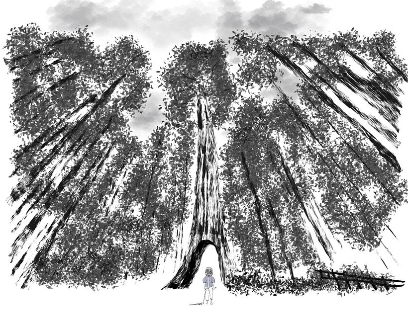 My project for course: Online Portfolio for Children’s Book Illustrators 3