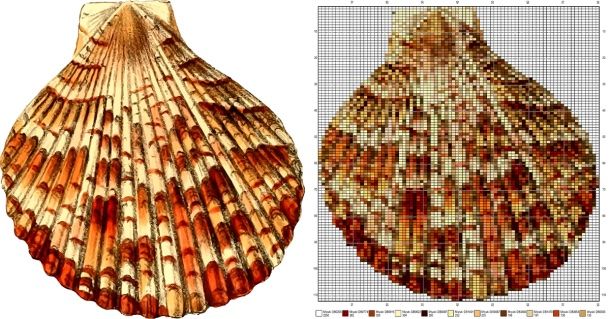 Modèle de broderie en perles Miyuki réalisé sur Stitchboard. Crédit d'illustration : via Pexels.