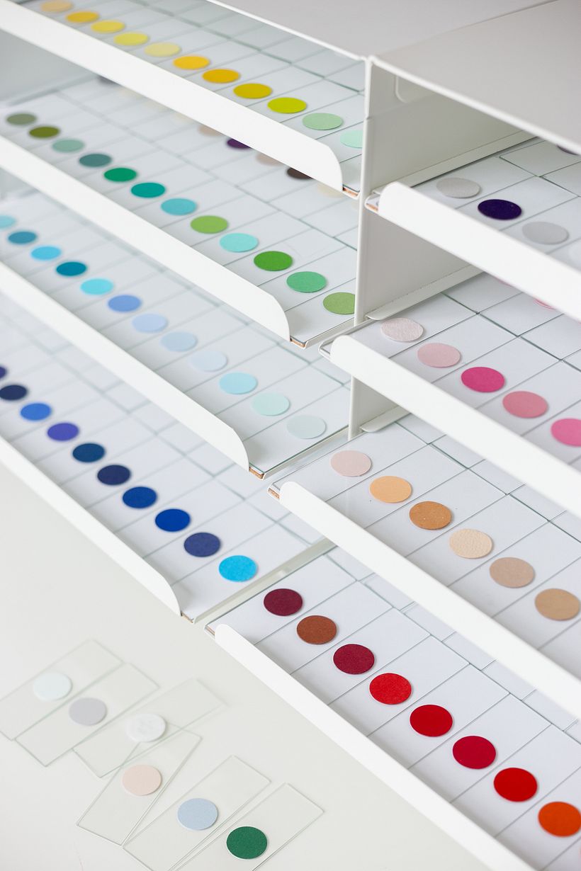 Paper Lab specimens by Laura Jane Boast