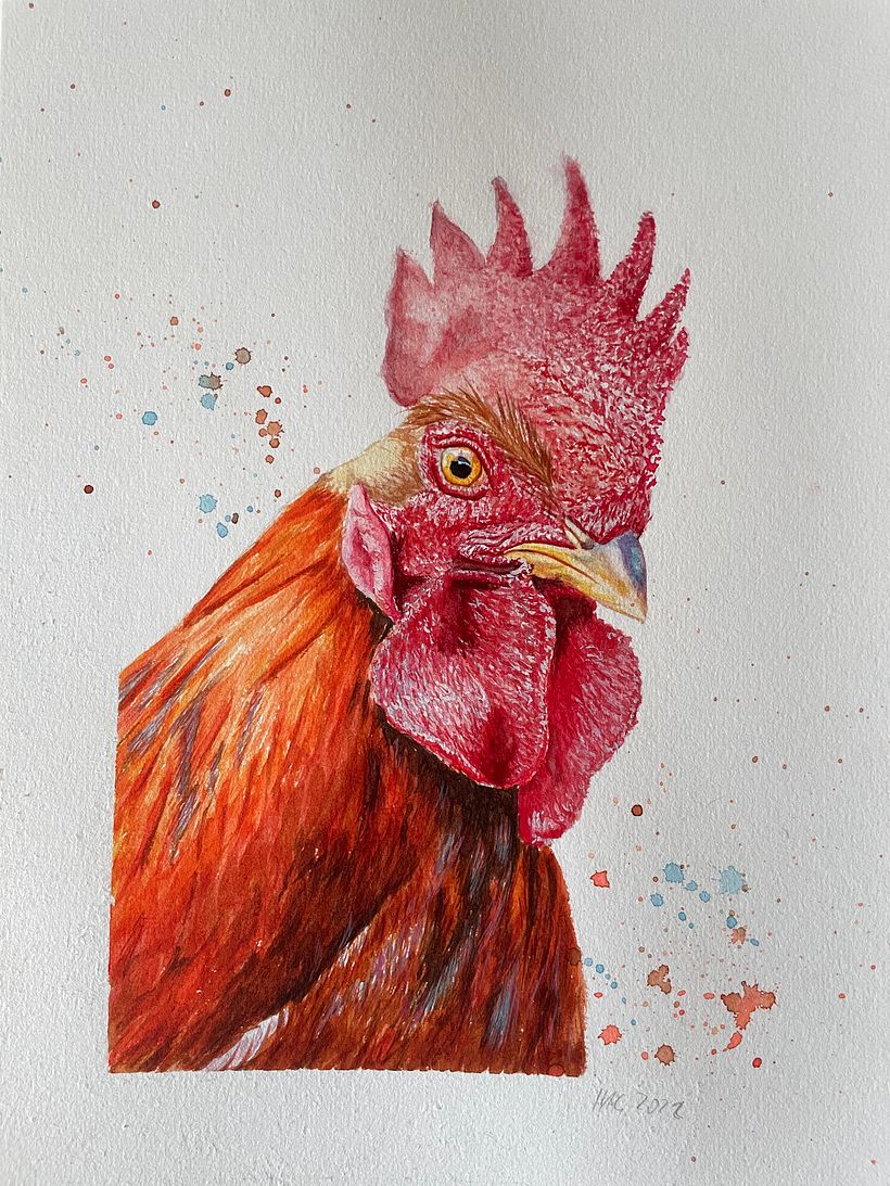 My project for course: Artistic Watercolor Techniques for Illustrating Birds 2