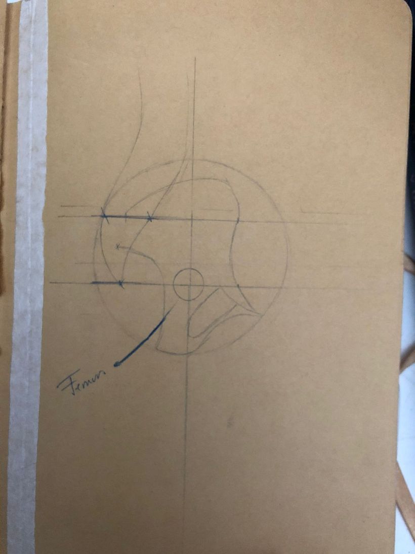 Mi proyecto del curso: Dibujo anatómico para principiantes 3