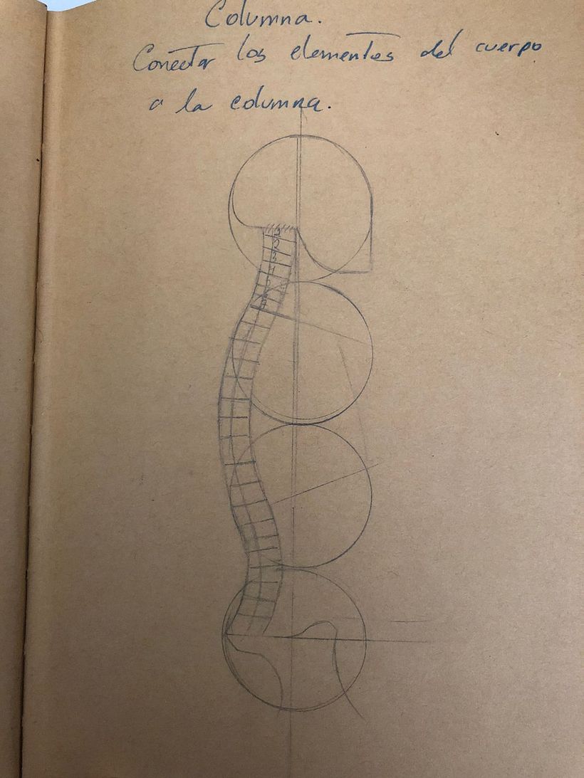 Mi proyecto del curso: Dibujo anatómico para principiantes 4
