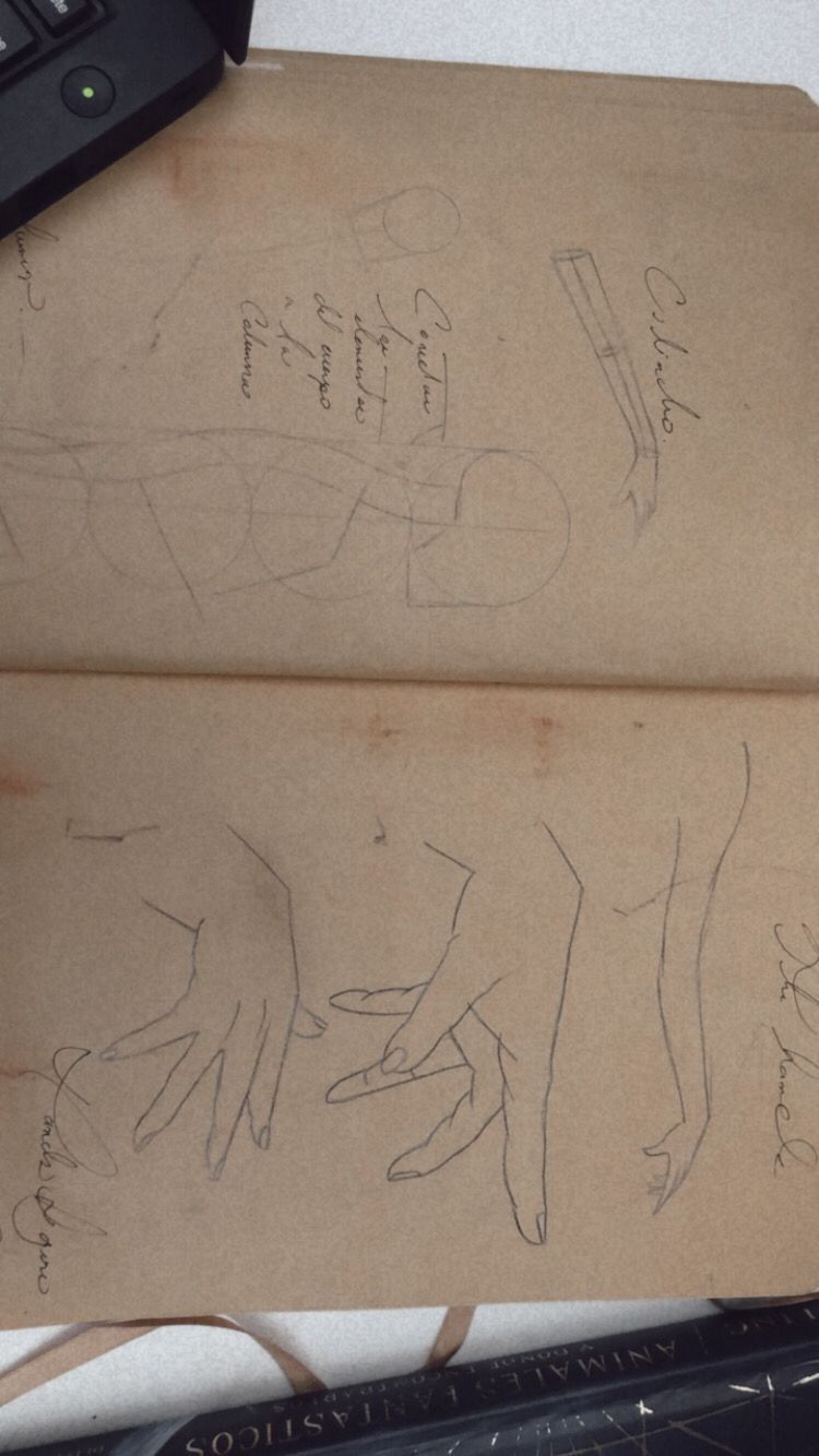 Mi proyecto del curso: Dibujo anatómico para principiantes 6