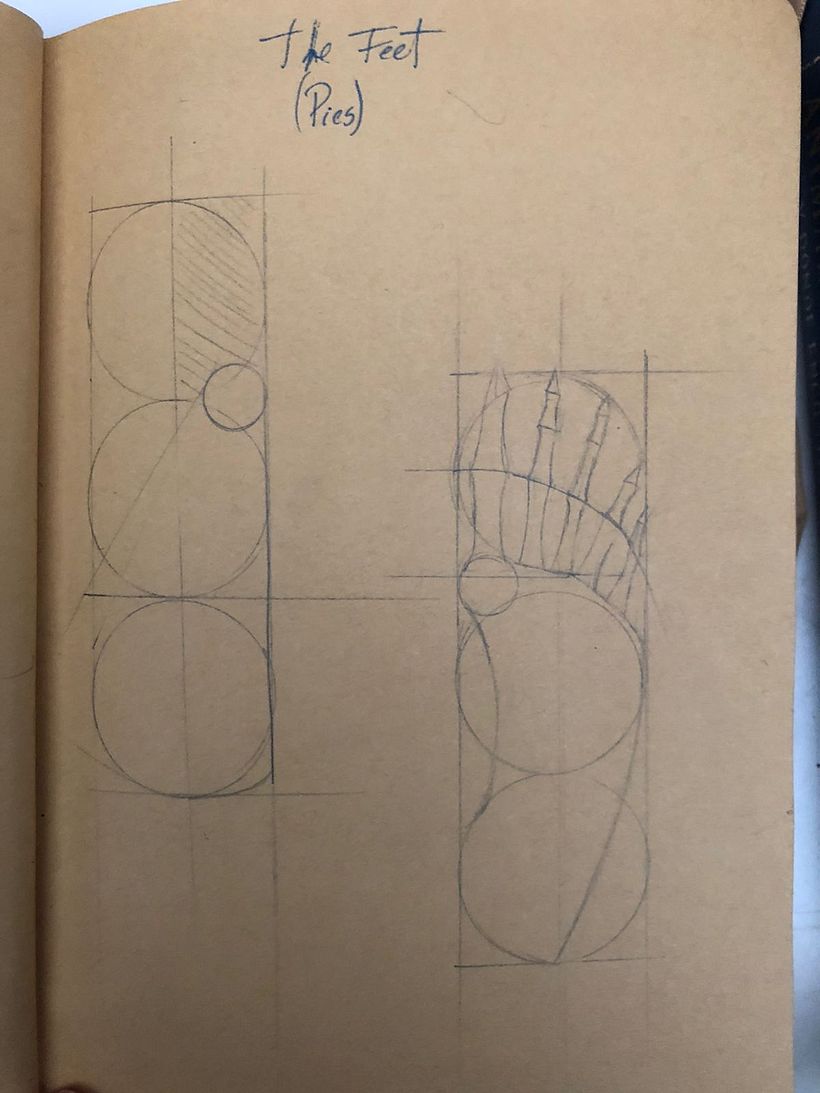 Mi proyecto del curso: Dibujo anatómico para principiantes 9