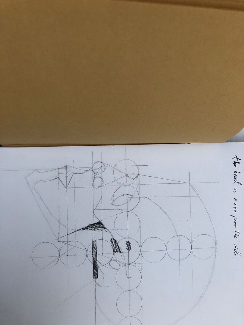 Mi proyecto del curso: Dibujo anatómico para principiantes 13