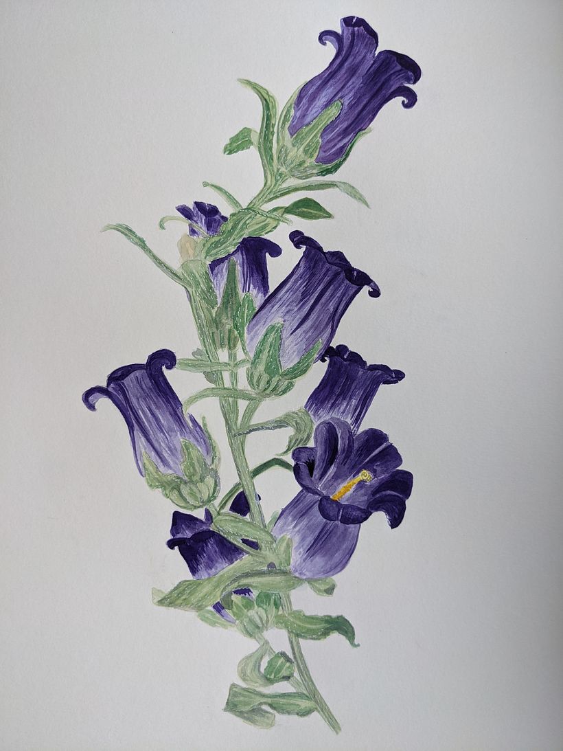 My project for course: Botanical Illustration with Watercolors 1