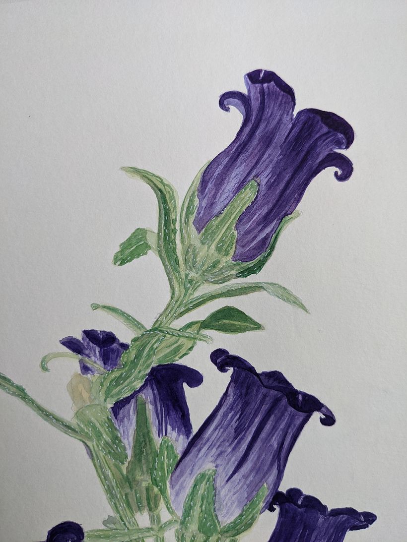 My project for course: Botanical Illustration with Watercolors 2