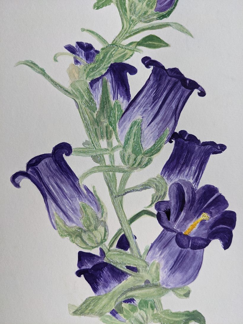 My project for course: Botanical Illustration with Watercolors 3