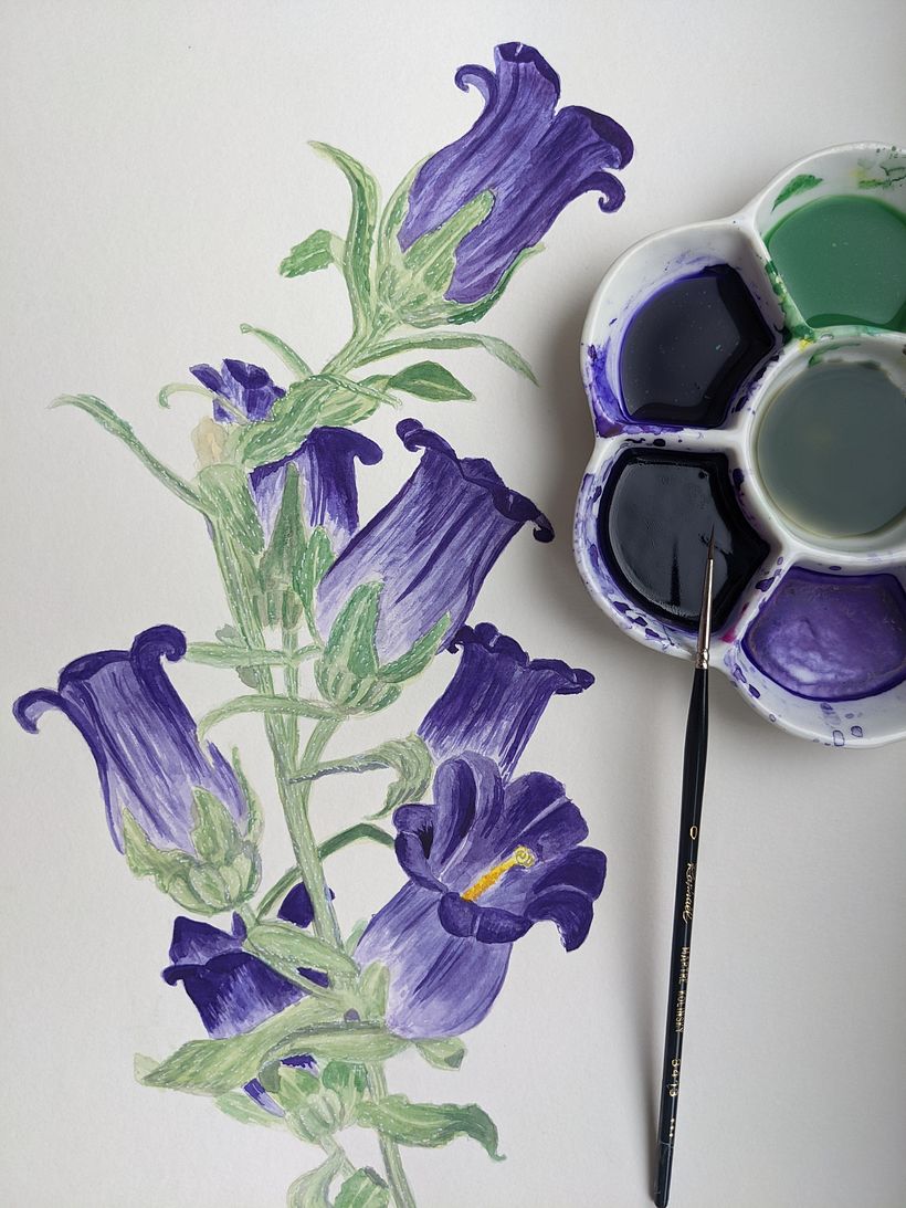 My project for course: Botanical Illustration with Watercolors 4