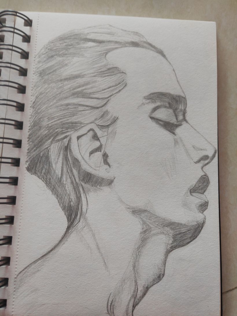 My project in Portrait Sketchbooking: Explore the Human Face course 10