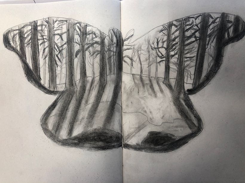 Mi proyecto del curso: Dibujo realista: aprende a observar lo que te rodea 7