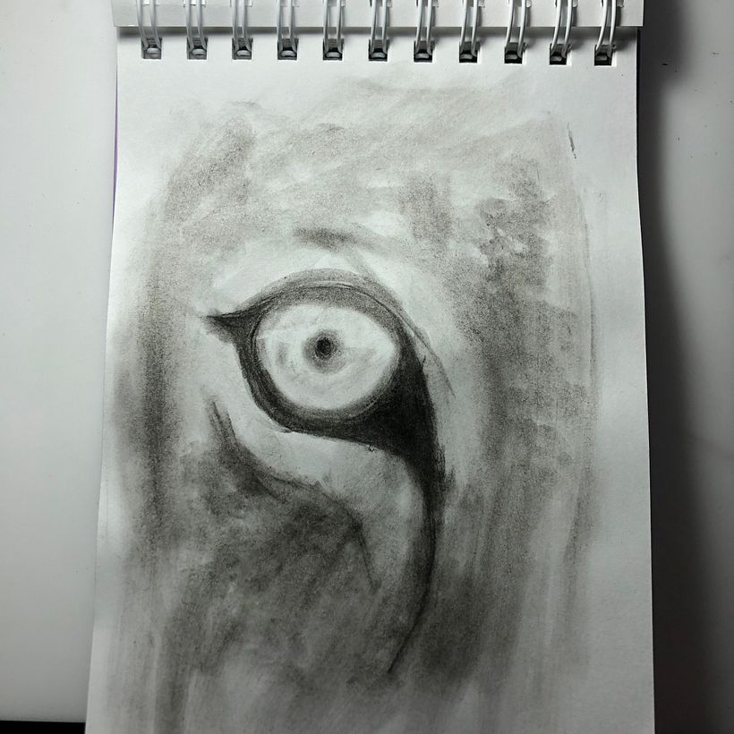 Mi proyecto del curso: Dibujo realista: aprende a observar lo que te rodea 10