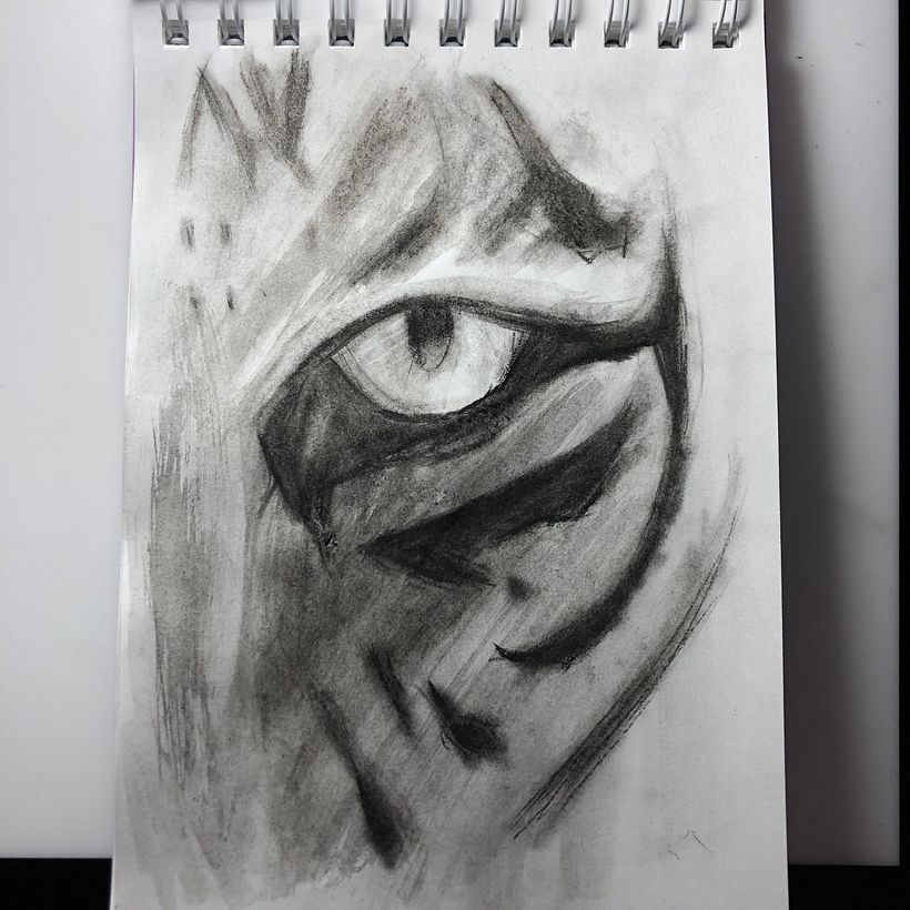 Mi proyecto del curso: Dibujo realista: aprende a observar lo que te rodea 11