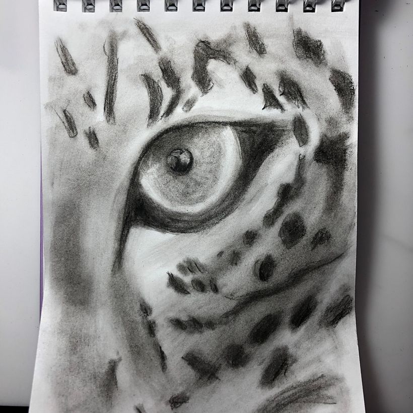 Mi proyecto del curso: Dibujo realista: aprende a observar lo que te rodea 9