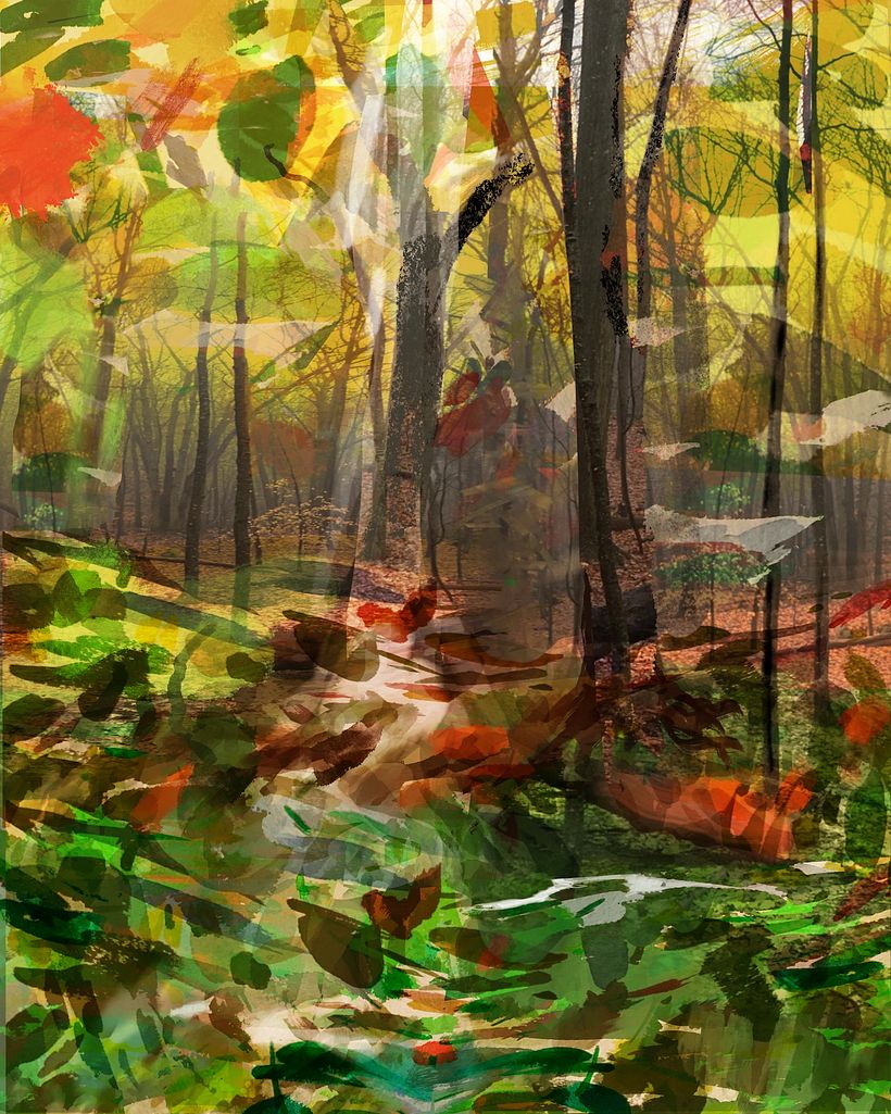 A Walk in the Woods, 2020, layered photograph and digital painting, © Diana Gubbay