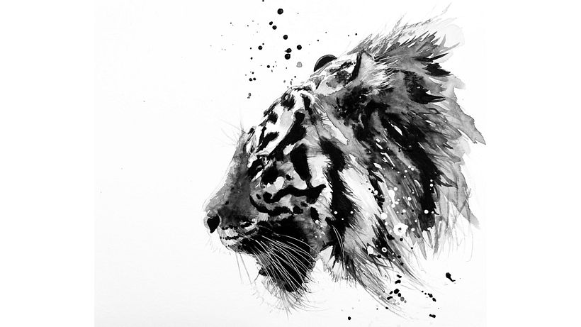 Piece finished off. Masking fluid removed. Whites “knocked back” with a little pigment… watercolour and white acrylic  