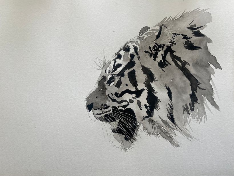 Then straight for darks as it’ll help to ascertain mid tones later