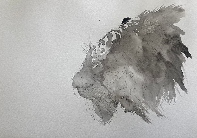 First wash leaving highlights white 