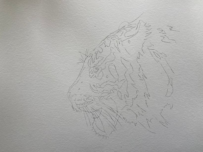 The drawing denoting shapes and tones