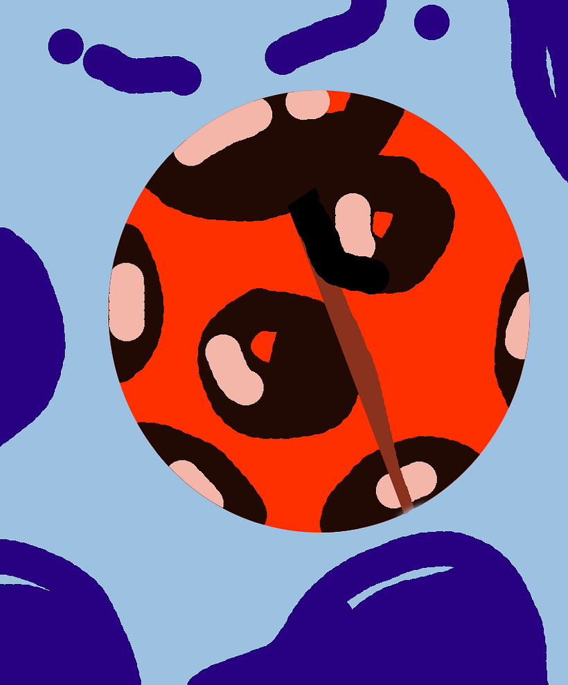 illustrations  1